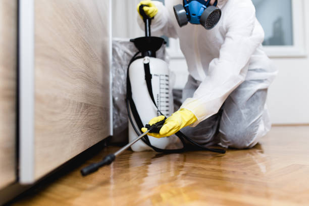 Best Commercial Pest Control Services  in Covelo, CA