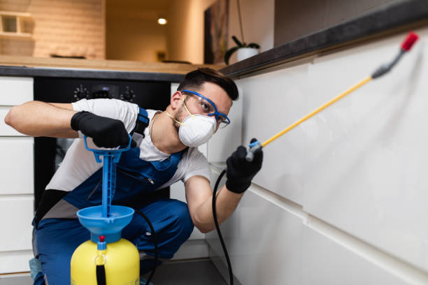 Best Best Pest Control Companies  in Covelo, CA