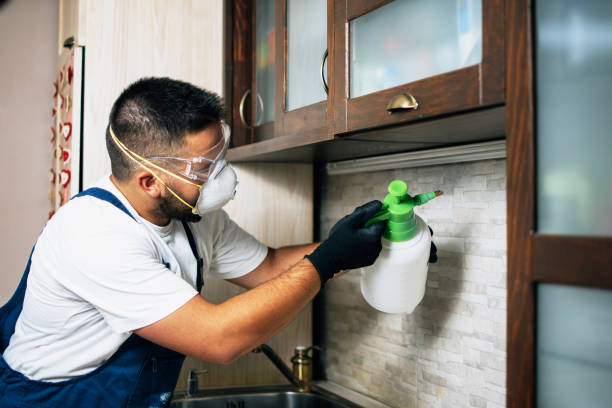 Best Pest Control Near Me  in Covelo, CA