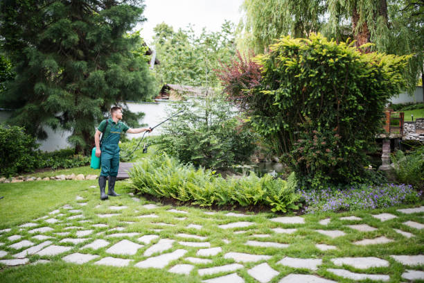 Best Pest Inspection Near Me  in Covelo, CA