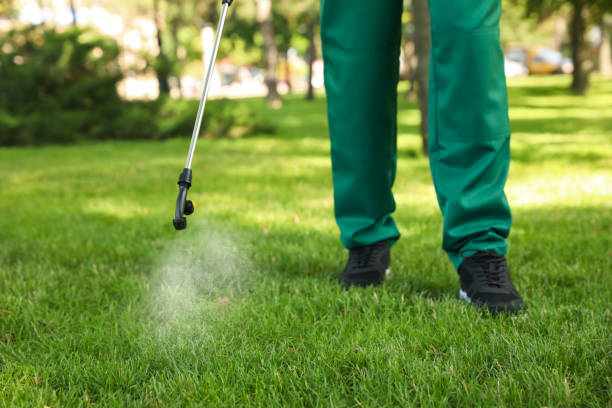 Best Ant Control Services  in Covelo, CA