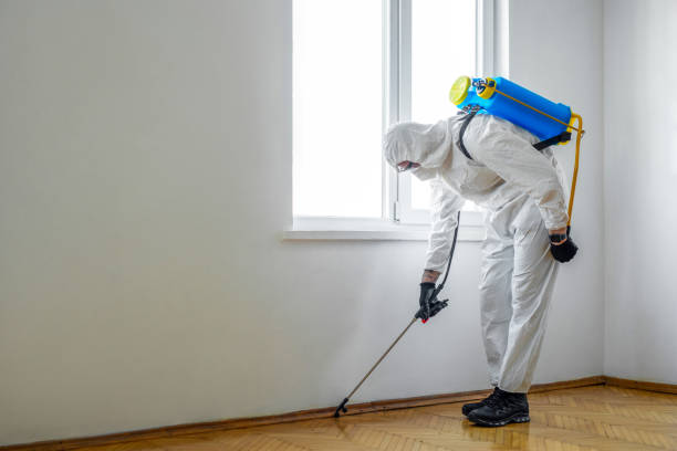 Best Affordable Exterminators  in Covelo, CA