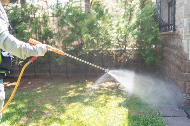 Best Pest Control Treatment  in Covelo, CA