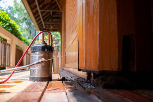 Best Cockroach Control Services  in Covelo, CA