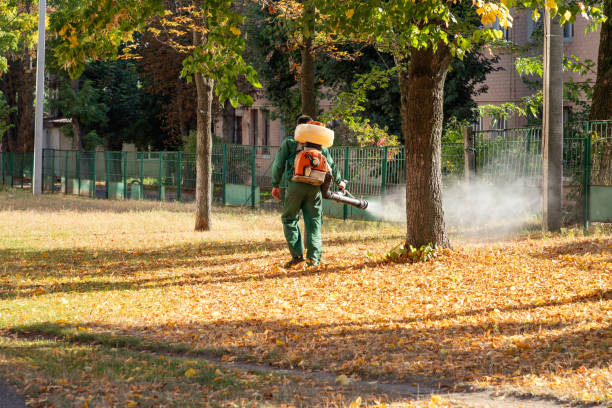 Best Flea Control Services  in Covelo, CA