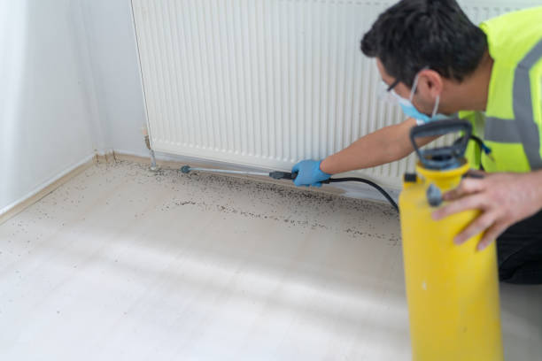 Best Flea Control Services  in Covelo, CA